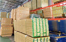 Giải pháp sàn bền đẹp cho công trình ven biển – Panel Nano Lam Sóng Lót Sàn Phan Thiết