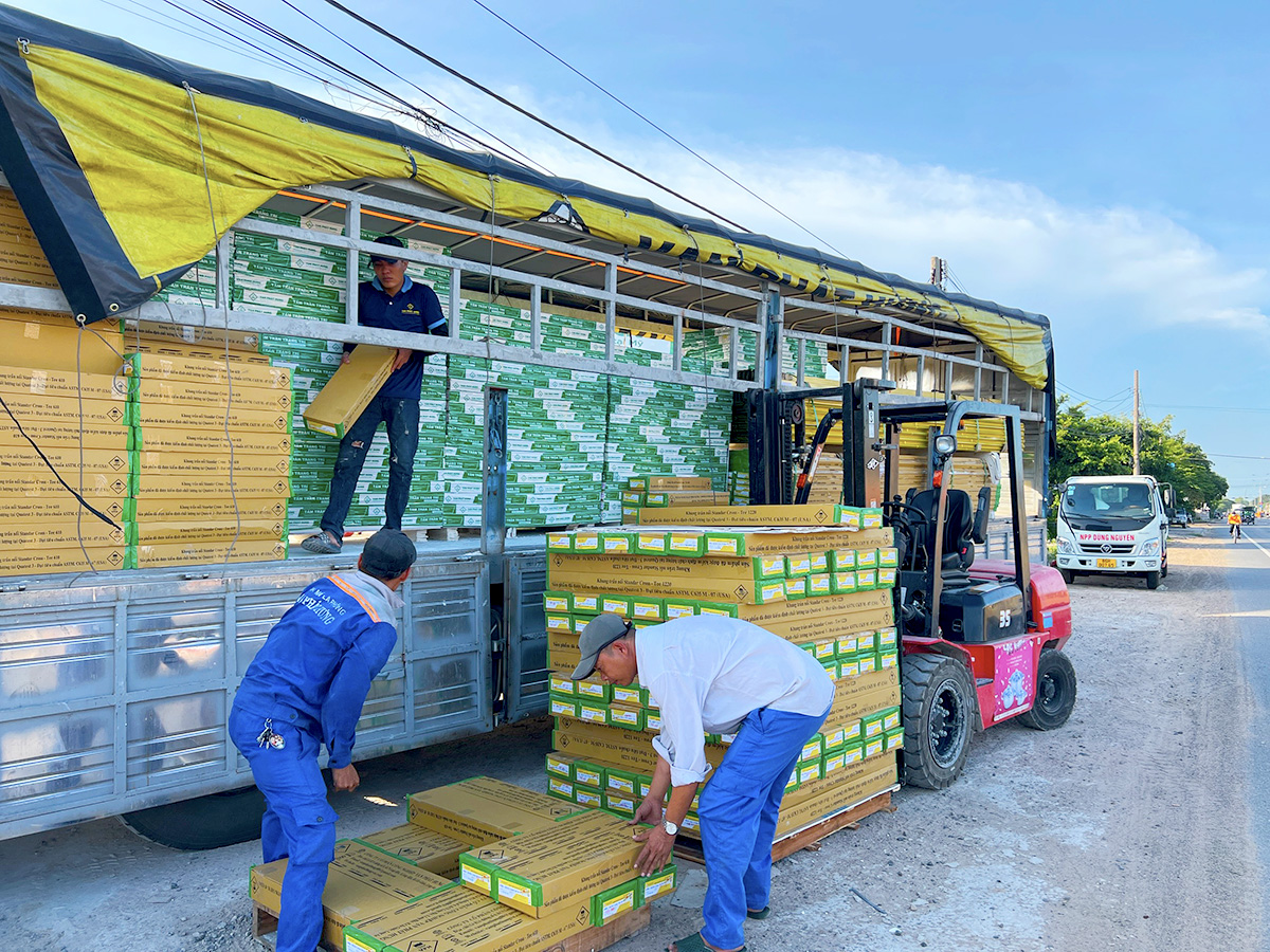 Tấm thạch cao được vận chuyển về xưởng